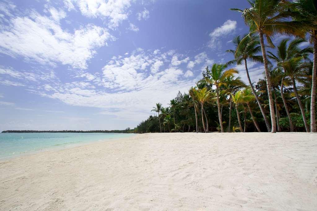 Barcel B Varo Palace Punta Cana